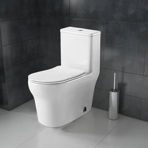 Унитаз-моноблок с сиденьем микролифт Azario Sinto AZ-1098